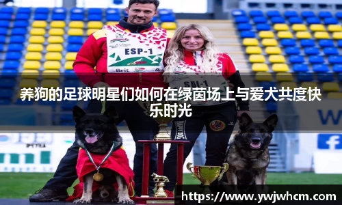 养狗的足球明星们如何在绿茵场上与爱犬共度快乐时光